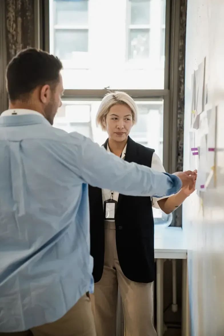 Project Support Lead
